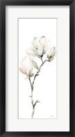 White Magnolia II Panel Framed Print