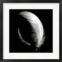 Framed Dream Feathers Sq