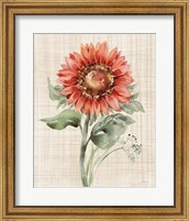 Framed Autumn Ramble II Linen