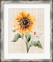 Framed Autumn Ramble III Linen