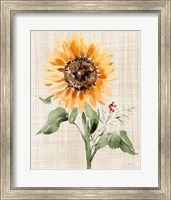 Framed Autumn Ramble III Linen