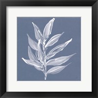 Framed Leaf Study IV Blue