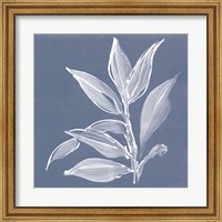 Framed Leaf Study I Blue