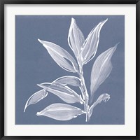 Framed Leaf Study I Blue