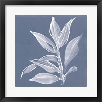 Framed Leaf Study I Blue