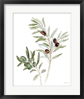 Framed Mediterranean Motif IX on White