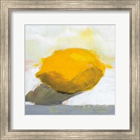 Framed Lemon Still Life