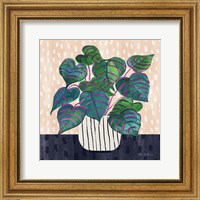 Framed Potted Jewels I Abstract