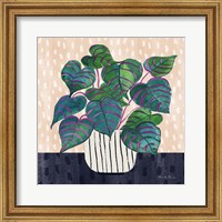 Framed Potted Jewels I Abstract