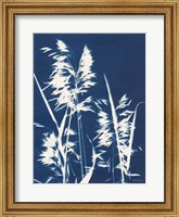 Framed Ornamental Grass VI