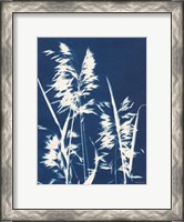 Framed Ornamental Grass VI