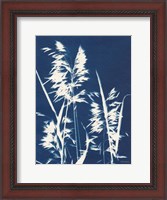 Framed Ornamental Grass VI