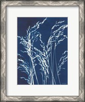 Framed Ornamental Grass V