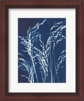 Framed Ornamental Grass V