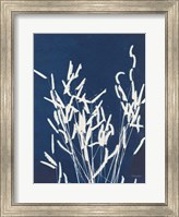 Framed Ornamental Grass IV