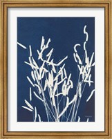 Framed Ornamental Grass IV