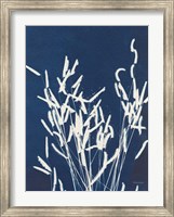 Framed Ornamental Grass IV