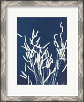 Framed Ornamental Grass IV