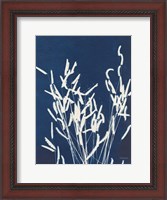 Framed Ornamental Grass IV