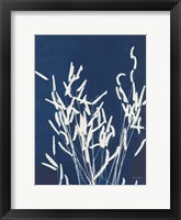 Framed Ornamental Grass IV