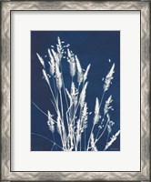 Framed Ornamental Grass III