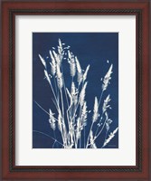 Framed Ornamental Grass III