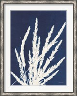 Framed Ornamental Grass II