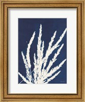 Framed Ornamental Grass II