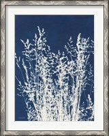 Framed Ornamental Grass I