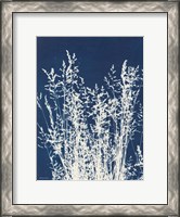 Framed Ornamental Grass I