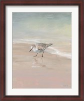 Framed Shorebirds on the Sand III