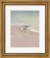 Framed Shorebirds on the Sand III