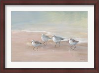 Framed Shorebirds on the Sand I