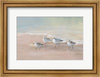 Framed Shorebirds on the Sand I