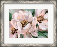 Framed Blush Peonies