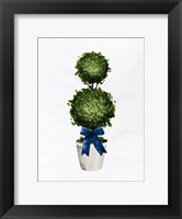 Framed Topiaries 1