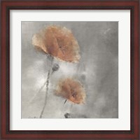 Framed Two Poppies 1
