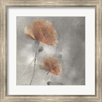 Framed Two Poppies 1