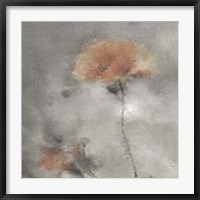 Framed Two Poppies 2