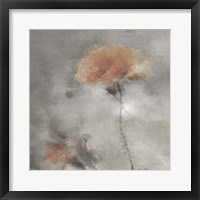 Framed Two Poppies 2