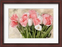 Framed Pink And White Tulips
