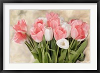 Framed Pink And White Tulips