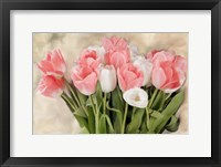 Framed Pink And White Tulips