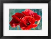 Framed Poppies Blue