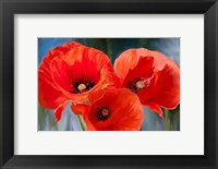 Framed Poppy Trio