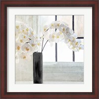 Framed Orchid Window