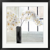 Framed Orchid Window