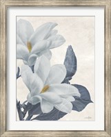 Framed Magnolia Blues 1