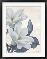 Framed Magnolia Blues 1