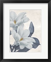 Magnolia Blues 1 Framed Print